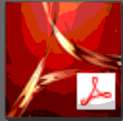 Acrobat2